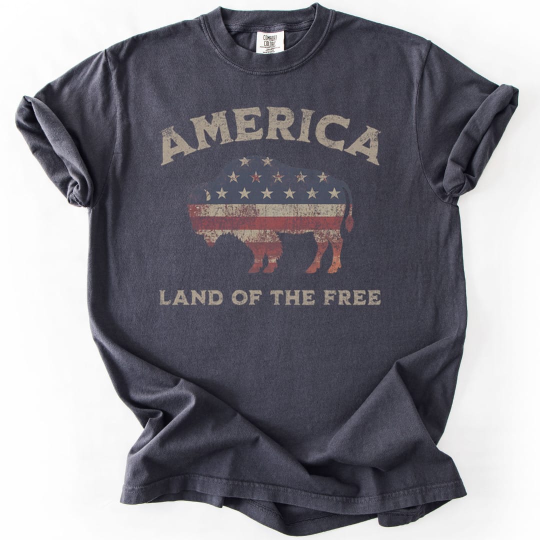 T-Shirt Graphite / S Land Of The Free Premium