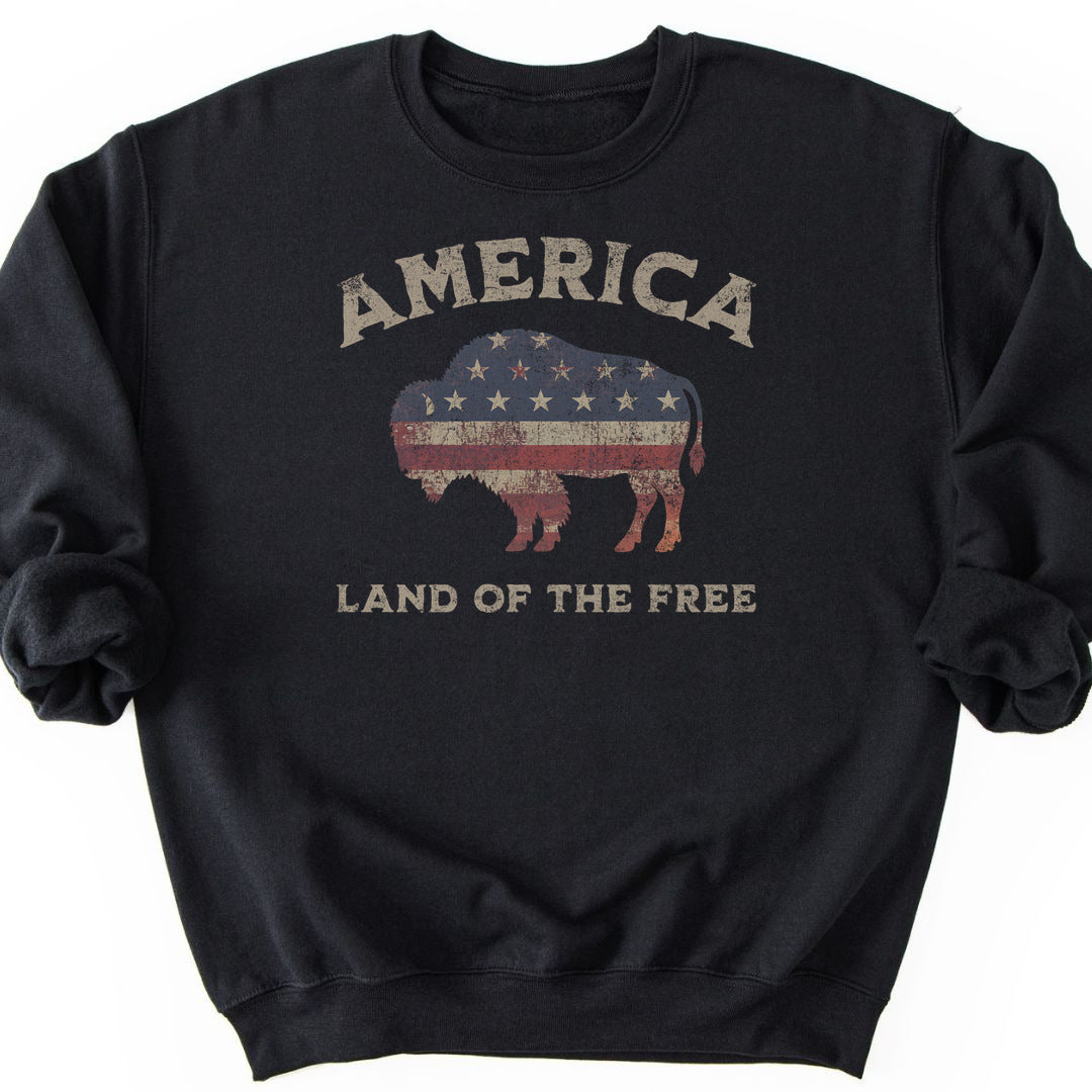 Land Of The Free Sweatshirt - Black