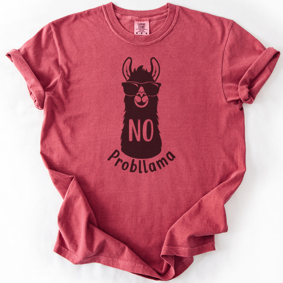 No Probllama Premium