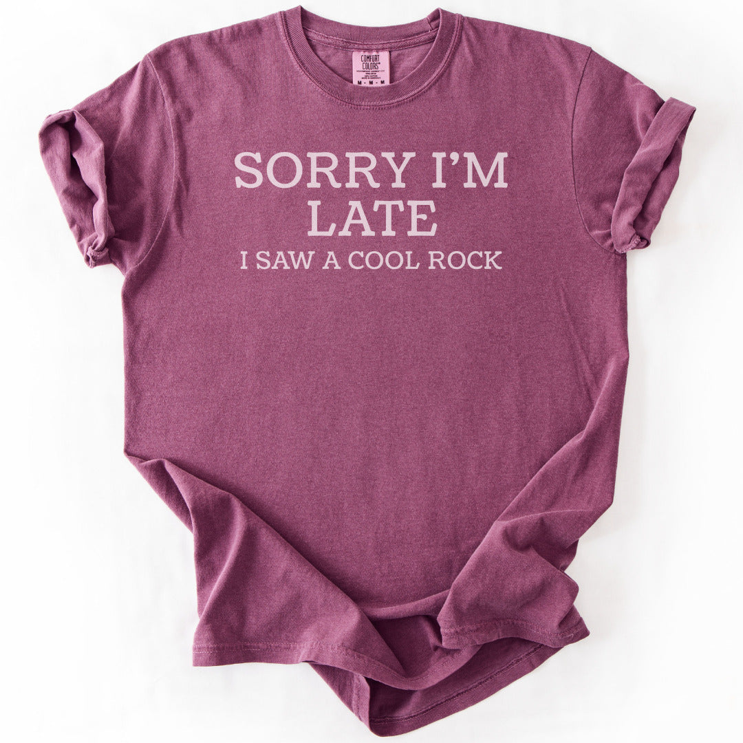 Sorry Rocks Premium
