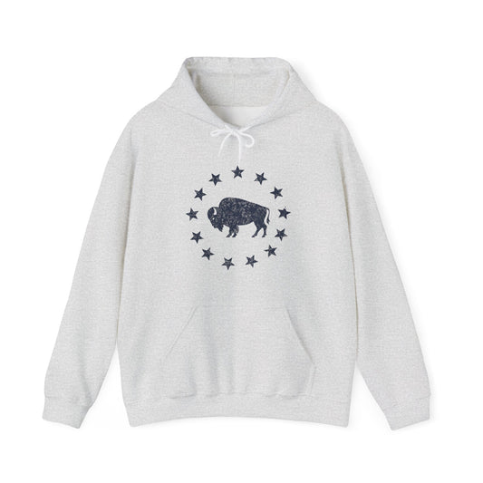 Hoodie Ash / S American Plains Hoodie
